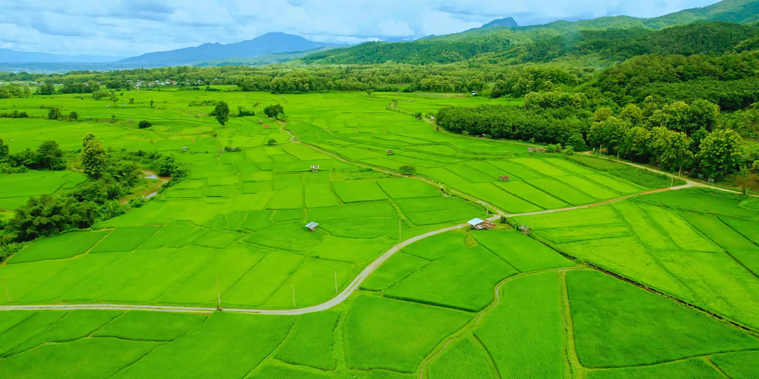 Nan Rijstvelden in Sapan