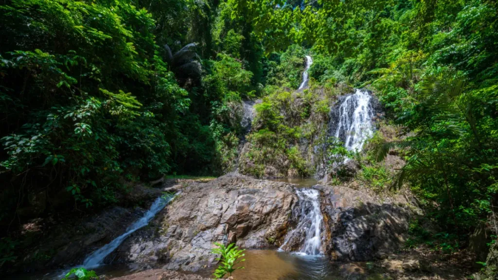 Huai-To-Waterfall-Khao-Phanombencha-National-Park-Krabi-scaled-1