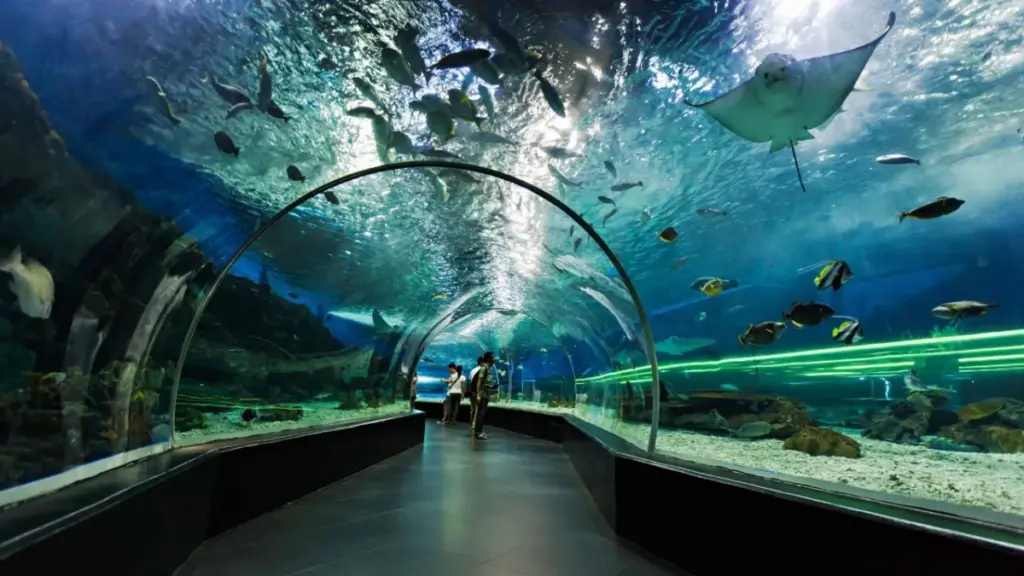 Onderwatertunnel met vissen in Underwater World Pattaya