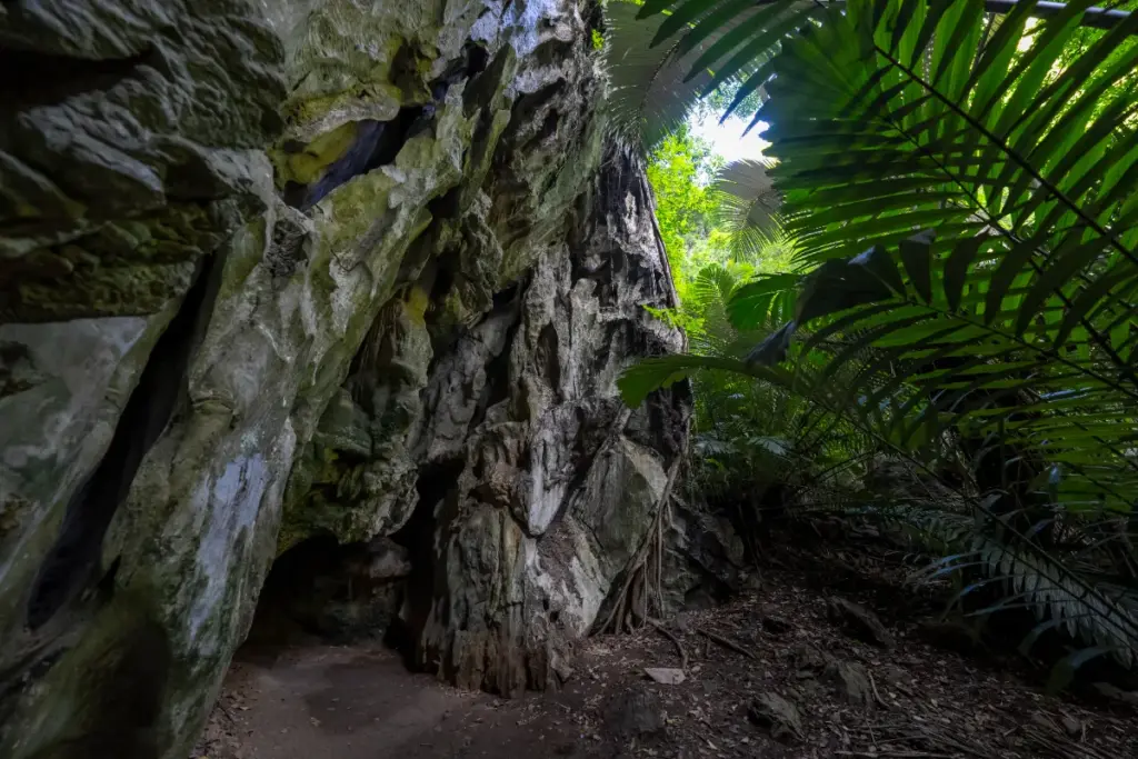 Immense paroi calcaire aux formes irrégulières dans la forêt de Hup Pa Tat, entourée de grandes feuilles de palmiers.